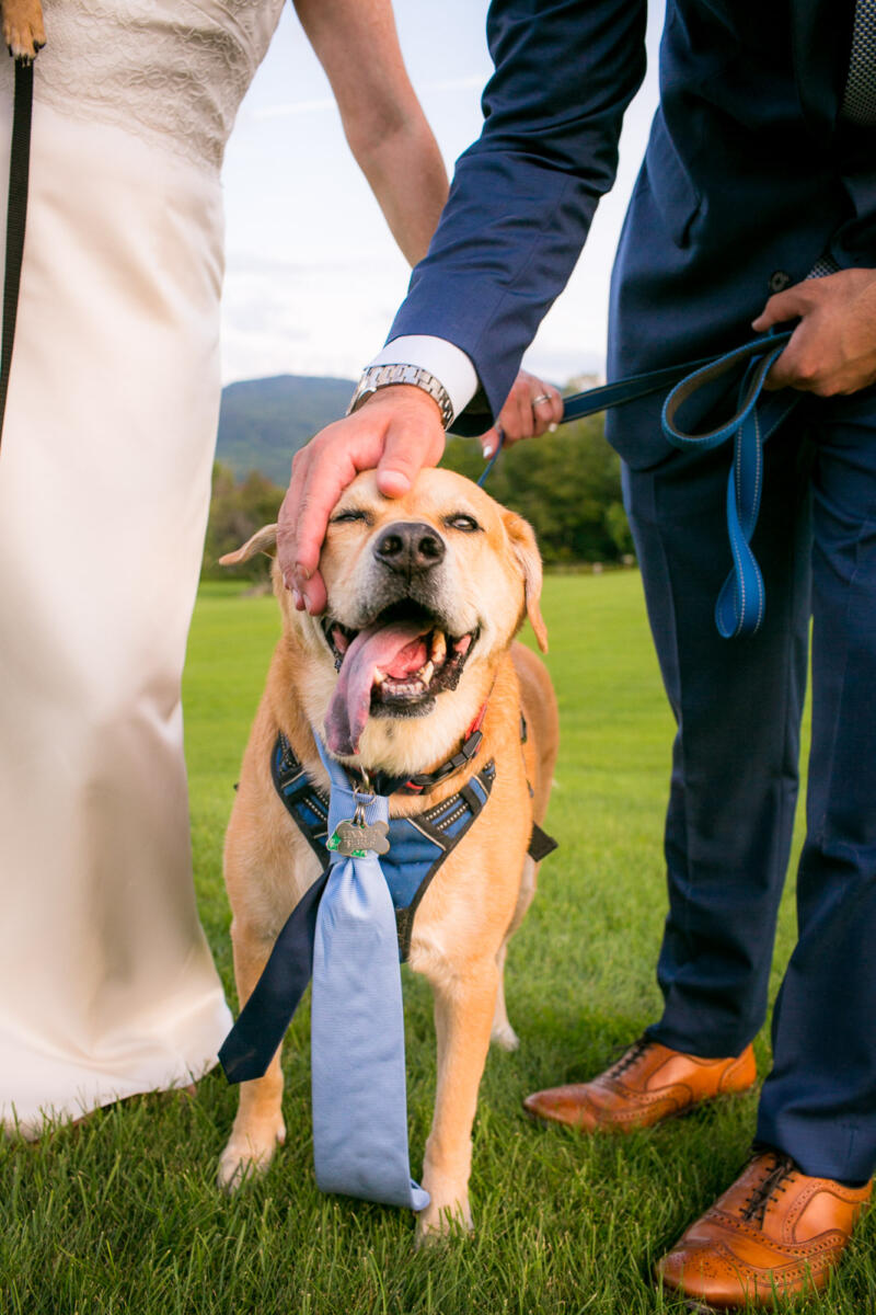 Wedding Portraits: Julie & Rob