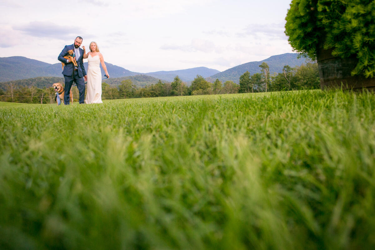 Wedding Portraits: Julie & Rob
