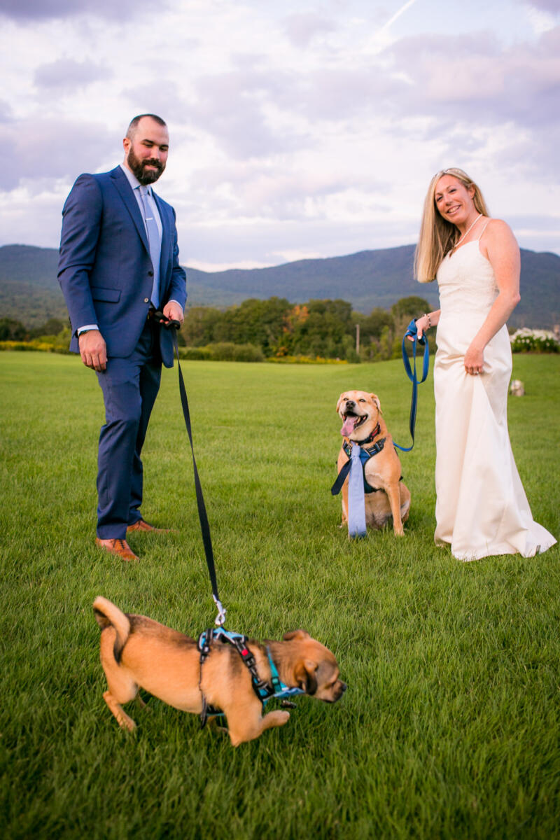Wedding Portraits: Julie & Rob