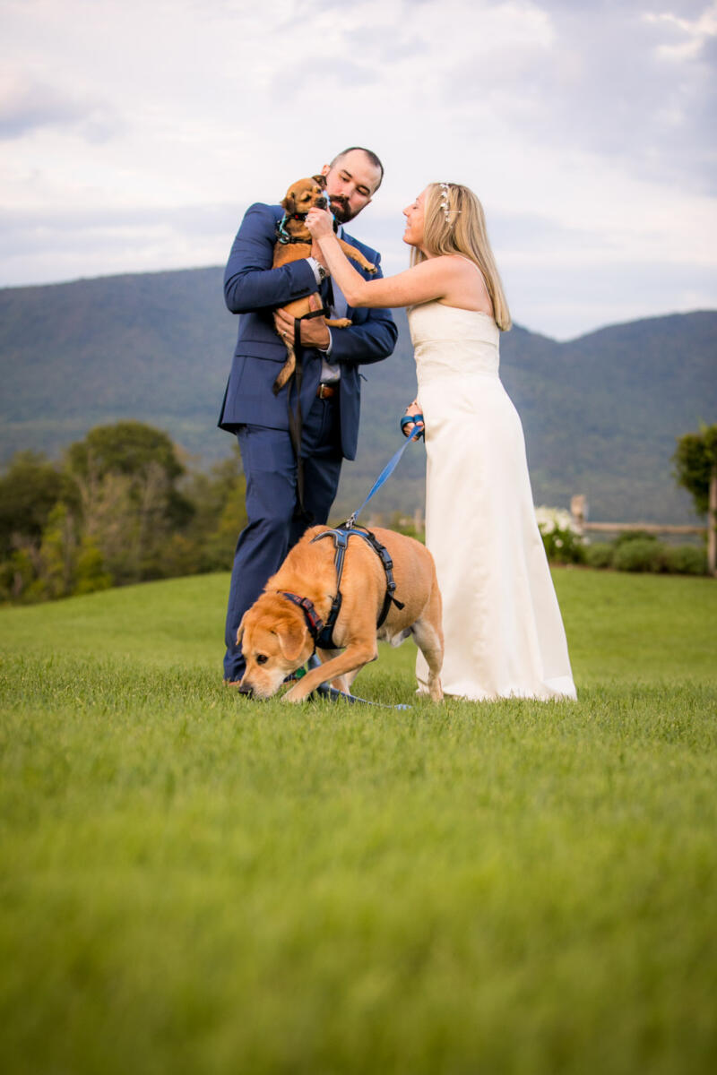 Wedding Portraits: Julie & Rob